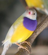 संग्राहक प्रोफ़ाइल तस्वीर : Jose Manuel Rodriguez Dopazo [marquepeque]