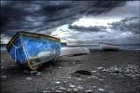 Collector profile picture : Niko Okin [NikoOkin]