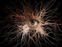 Collector profile picture : Carlo-Bassi