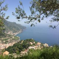 slika profila zbiratelja : Freddy Herr [dave]