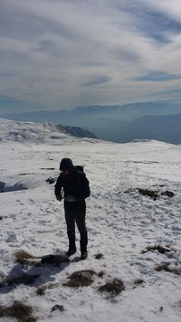 收藏者头像 ： ： Miroslav Jotić [Miki978]