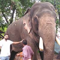 Collector profile picture : Santiago De Valpuesta [Santiago-de-Valpuesta]