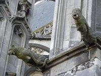 תמונת פרופיל אספן : : Gérard Quemin [gquemin]