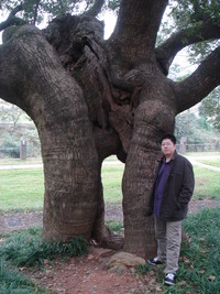 foto do seu perfil do Colecionador : : Yang Feng [Ander3000]