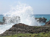 收藏者头像 ： ： LudwigSolano