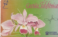 收藏者头像 ： dami