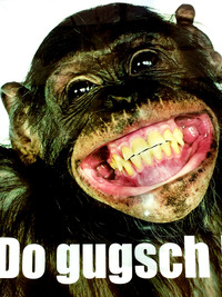 收藏者头像 ： ： Hans-Joachim Meder [TK-Zorro]