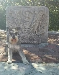 收藏者头像 ： ： Rosa Rodriguez [panquecito]