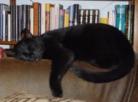 收藏者头像 ： ： Heiko Krauss [Heiko]