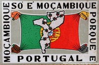 Collector profile picture : Ana Filipa [Ana150466]