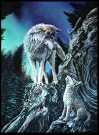 收藏者头像 ： ： astroposto