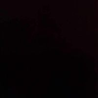 Collector profile picture : Siridech Kuruwechsomboon [Siridech-Kuruwechsomboon]