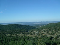 收藏者头像 ： Isaac Carretero [Isaac5CI]