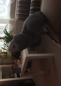 Collector profile picture : Marcin-Przyjalkowski