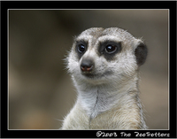 Zberateľov obrázok profilu : : Petr Poslt [PetaP]