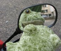 Collector profile picture : Frognector Da-Green [Frognector-Da-Green]