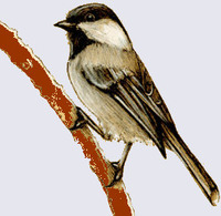 Gambar profil kolektor : : : : DraganPa