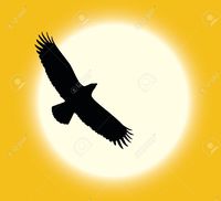 收藏者头像 ： ： spykoni