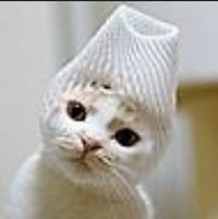 Foto perfil: : Guoqiang Yin [YinGuoQiang]