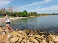 收藏者头像 ： Luisa Román [Luisa-Rom-n]