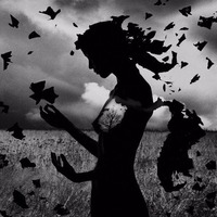 Profilbild des Sammlers : Bárbara Lorenzo Esteban [Luna-Nueva]