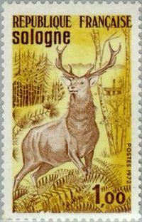 foto do seu perfil do Colecionador : : Daniel Roeser [DROESER]