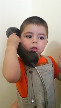 Collector profile picture : Onofre Perez [Ornitholestes]