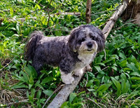 সংগ্রাহকের প্রোফাইল ছবি : : Rudolf Quick [callingcardsammler]