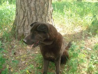 收藏者头像 ： ： Максим Князев [Reinger]