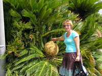 收藏者头像 ： Галина Романова [sagi02]