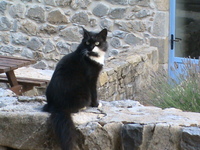 收藏者头像 ： Eric Henry [inald]