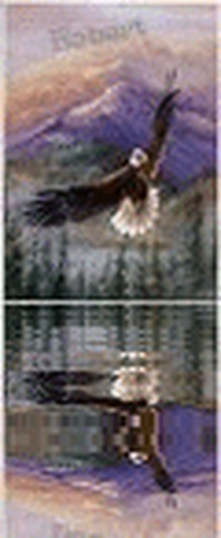 Collector profile picture : Nevzat Ağaoğlu [tazven]