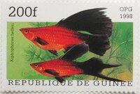 Collector profile picture : Jose Gomez Requena [Jgomezrequena]