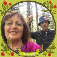 收藏者头像 ： ： Ilan Palmon [ilanpalmon]