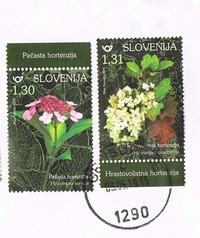 收藏者头像 ： ： Nataša Žužek [nzuzek]