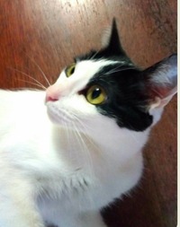 Profilbild des Sammlers : Jesús Fernández [CerveceroCervecero]