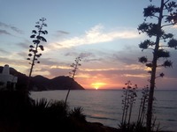 收藏者头像 ： ： Augusto Alonso Navarro [augusto1004]