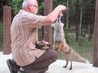 Zberateľov obrázok profilu : : Stanley Nowicki [stanles]