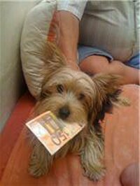 收藏者头像 ： Nicolas-Acosta-Paz