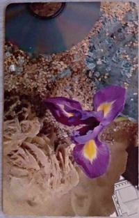 slika profila zbiratelja : tk1953