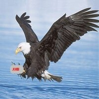 收藏者头像 ： ： Arend Jan Bron [JohnEagle]