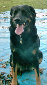 Collector profile picture : Juerg Suter [juhu]