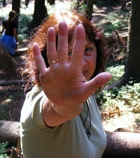 Samlarens porträttbild : Matea