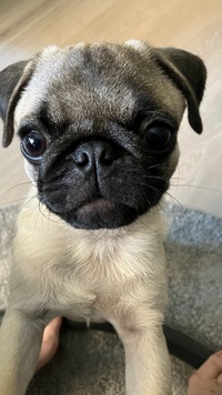 Profilbild des Sammlers : tiberius06