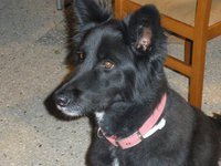 Profilbild des Sammlers : Michael Ziv [mmryd]