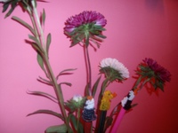 Gambar profil kolektor : : : : Ilona David [ilonkababa]