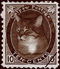 收藏者头像 ： ： Susan Limin [Susan-Limin]