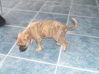 收藏者头像 ： ： Ignacio Orsi [iorsi84]