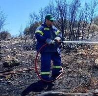 收藏者头像 ： ： Theocharis Anilios [harriscards]