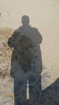 foto do seu perfil de Colecionador : Jose Francisco Perez Gomez [JOSE-FCO-PEREZ-GOMEZ]